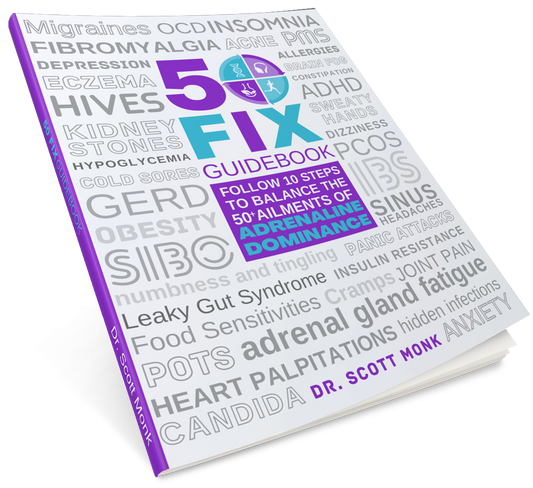 50FIX GUIDEBOOK (paperback)