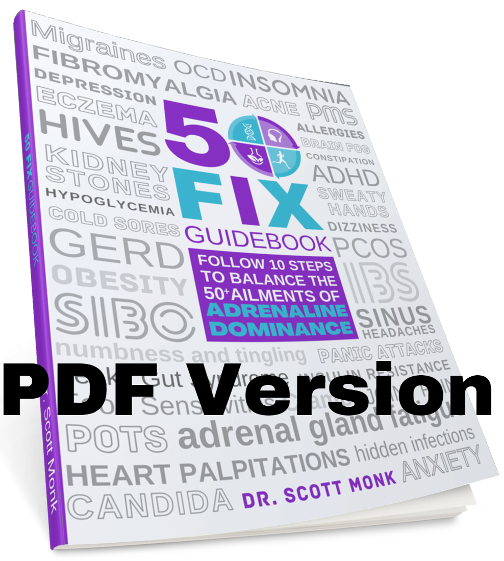 50FIX GUIDEBOOK (digital download)