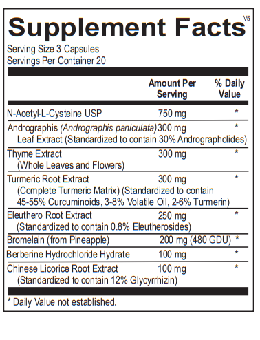 Sinus Lymph